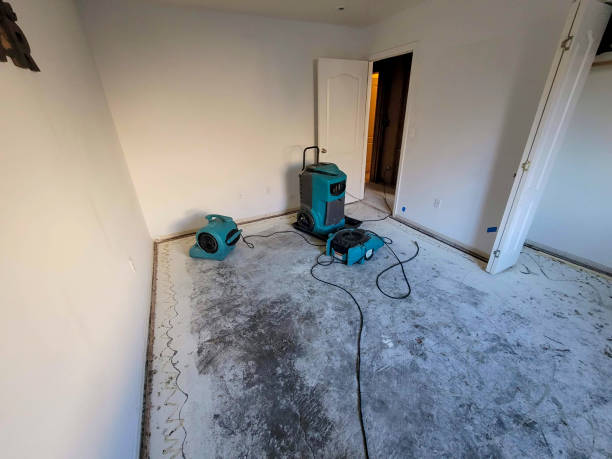 Best Water damage restoration near me  in Frisco, TX