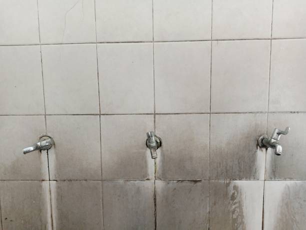 Best Water damage cleanup near me  in Frisco, TX
