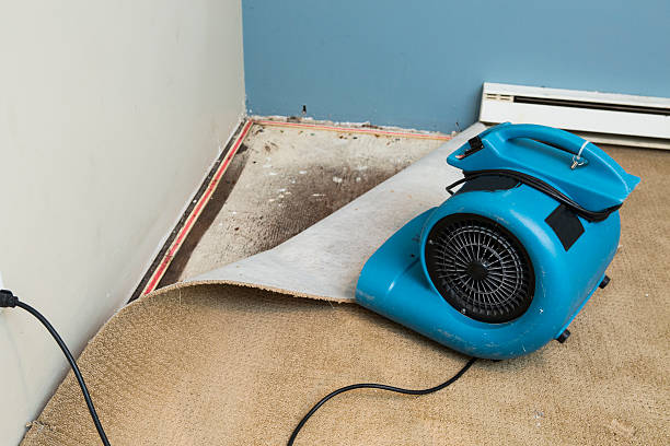 Best Fire Damage Restoration  in Frisco, TX